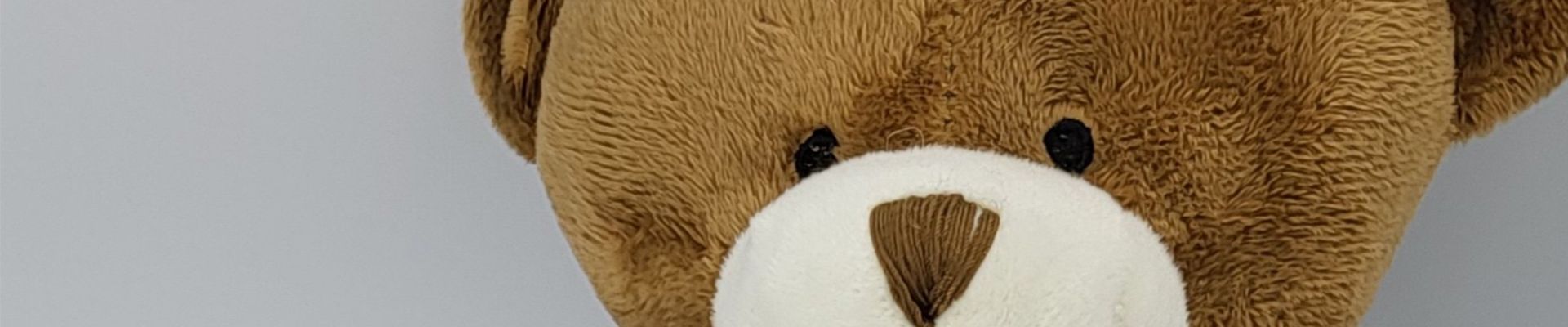 TeddyBearBanner.jpg